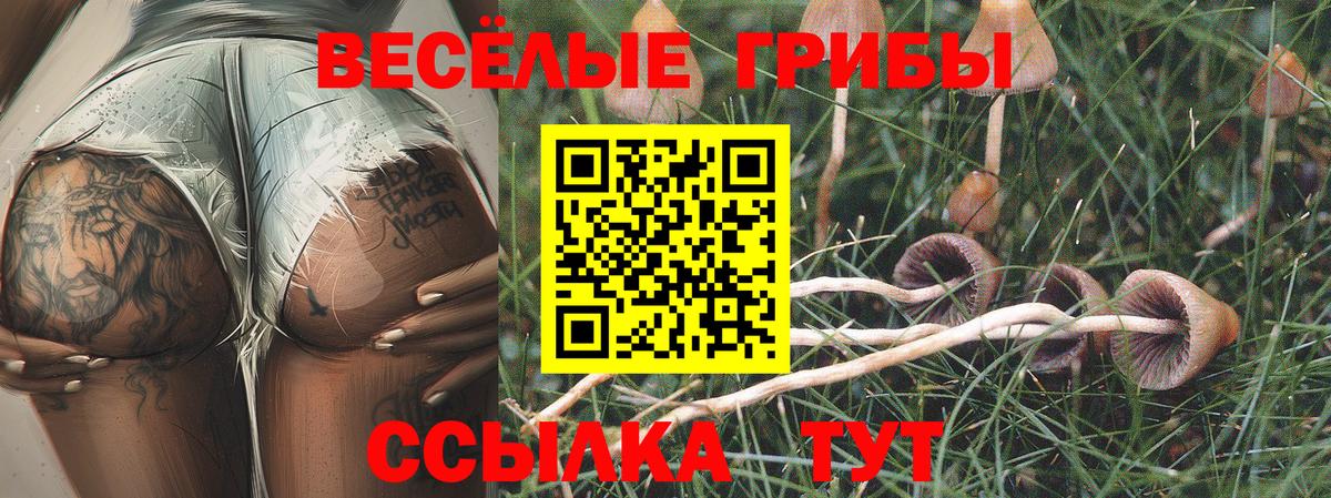 Псилоцибиновые грибы GOLDEN TEACHER  Вход с VPN  Шали 