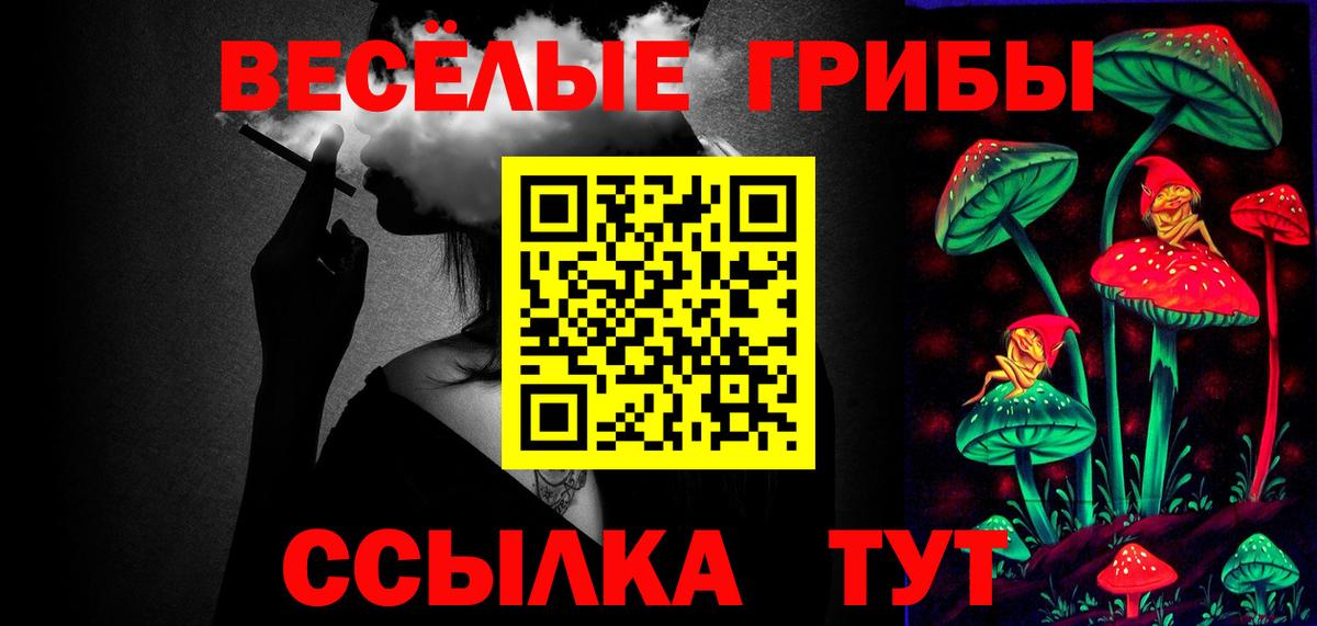Псилоцибиновые грибы прущие грибы Шали